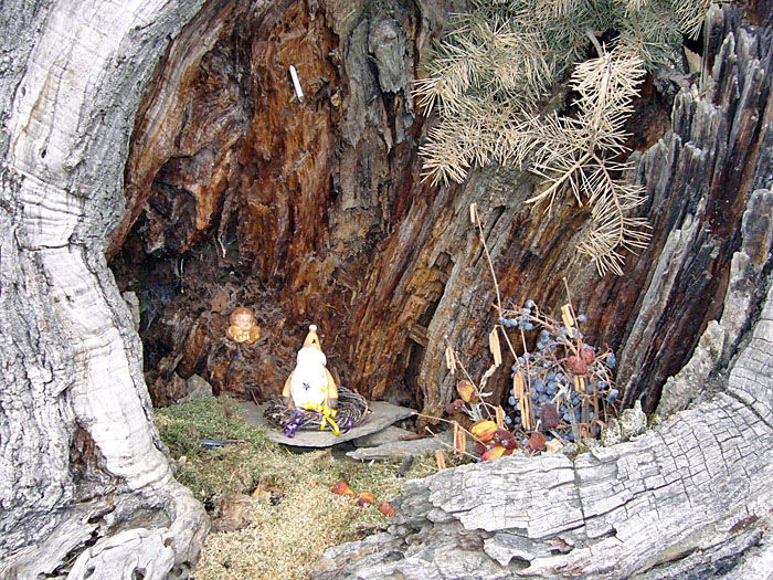 Die Heidelbeeren w&auml;ren auf einem Kuchen auch nicht schlecht ;-)