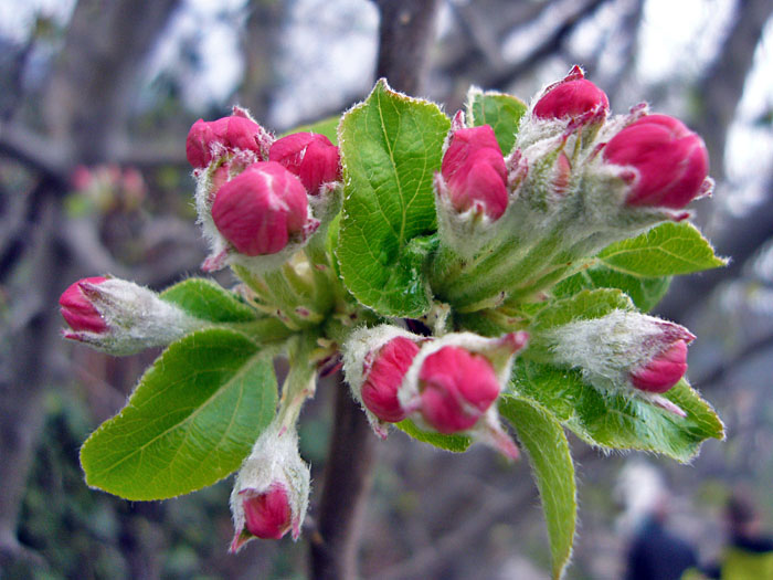 Endlich wird die Welt wieder farbig