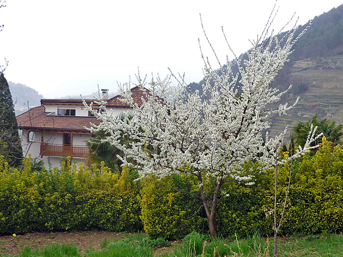 Jetzt fehlt nat&uuml;rlich ein blauer Himmel