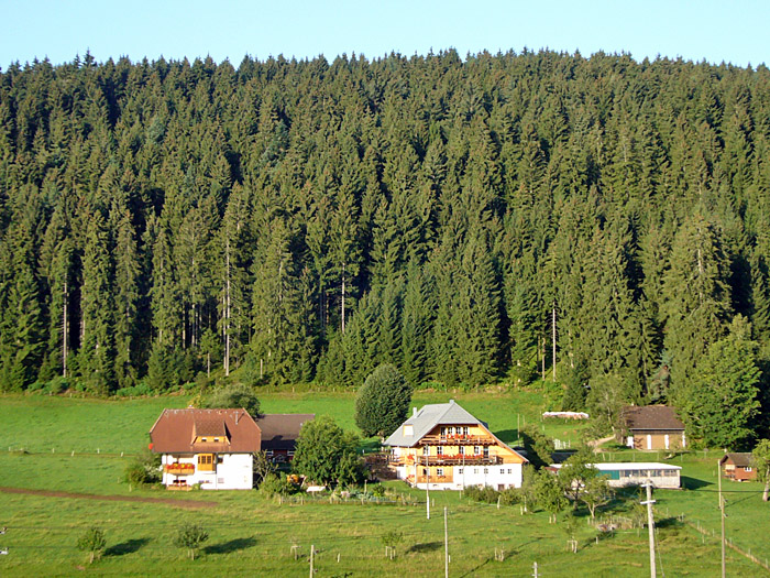 ... typischen Schwarzwaldh&auml;user