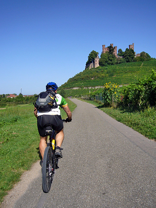 Das Ortenberger Schloss