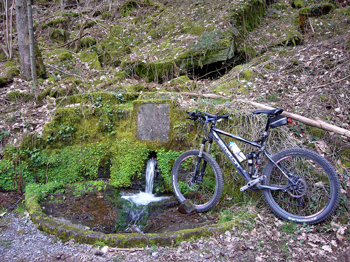 Wasser f&uuml;r das Tragtier ;-)
