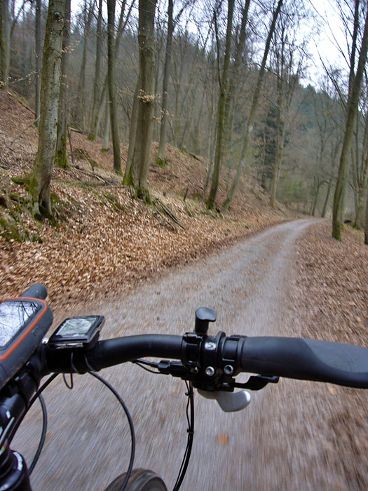 ... geht es zur&uuml;ck Richtung Heimat ...