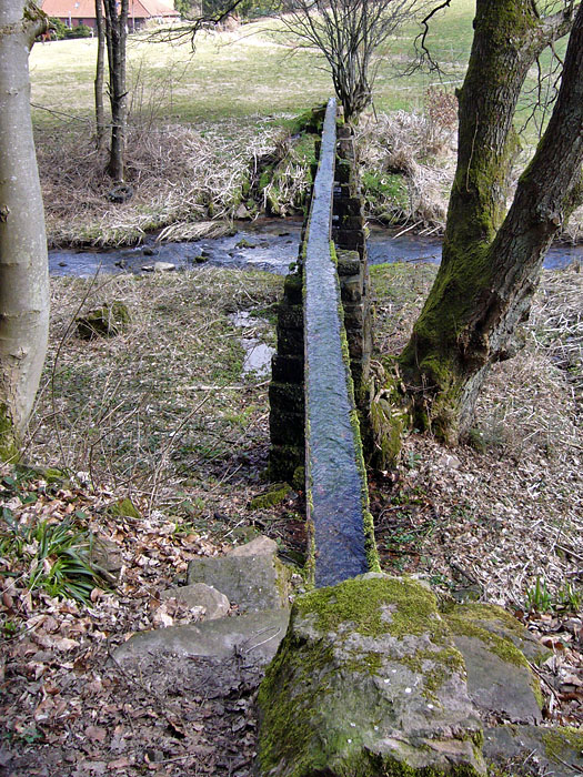 Bach &uuml;berquert Bach, lustig 