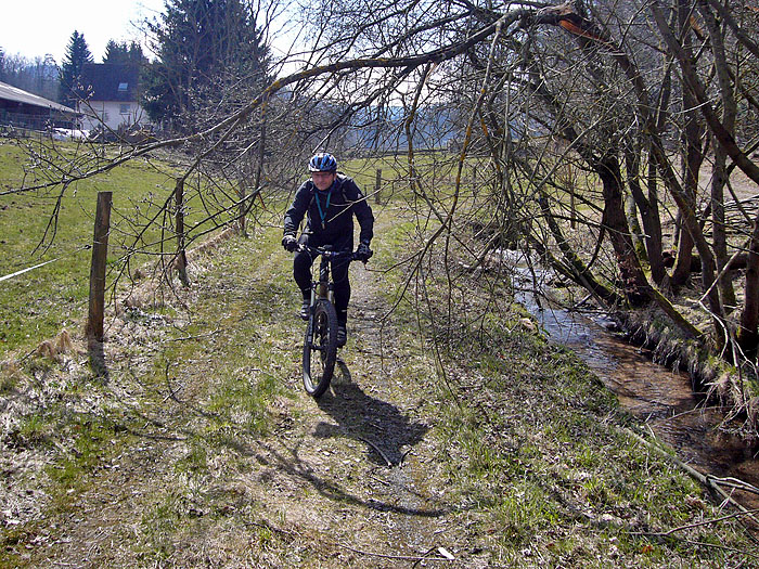 Ab durch die Weide ...