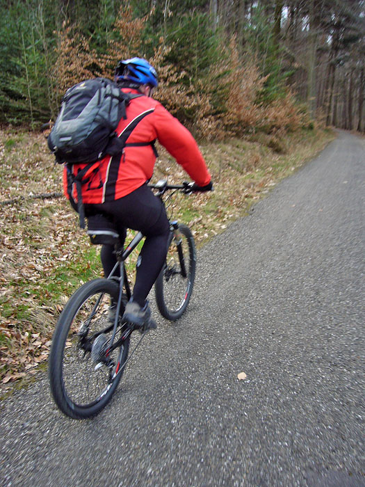 Auf dem Albtalradweg ist es noch etwas k&uuml;hl