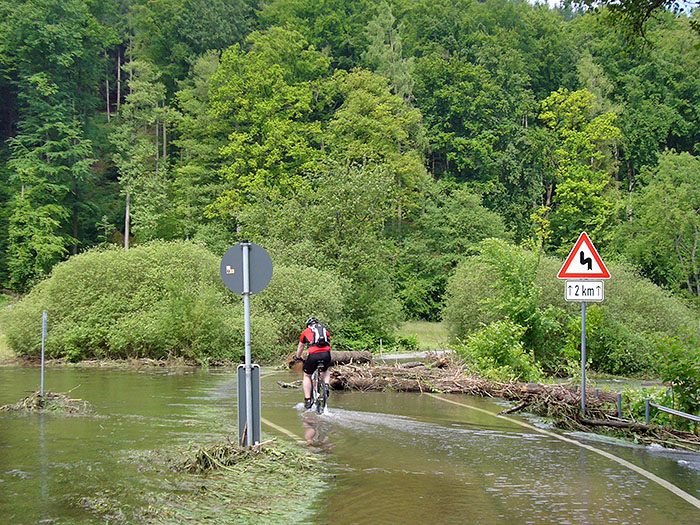 Waldi versucht es zuerst ...