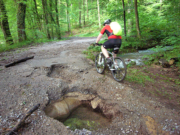 Waldi zirkelt vorbei und hofft, dass der Rest des Bodens h&auml;lt ;-)