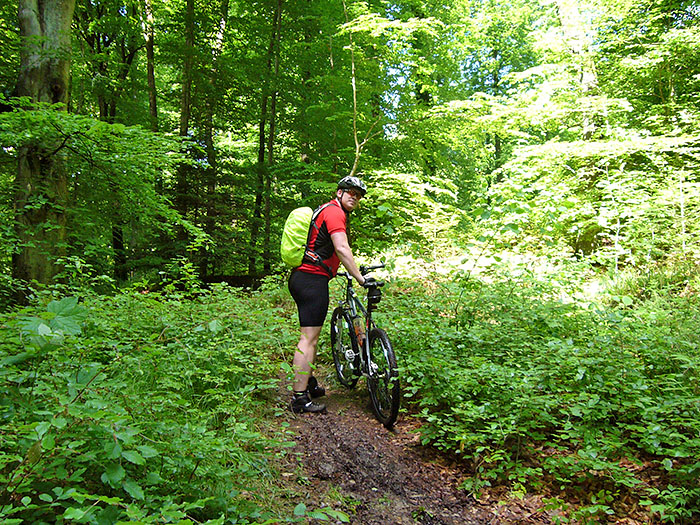 Vom matschigen Wald ...