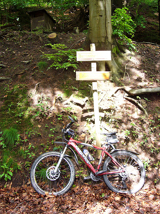 ... beginnt das "Bernbacher Steigle"