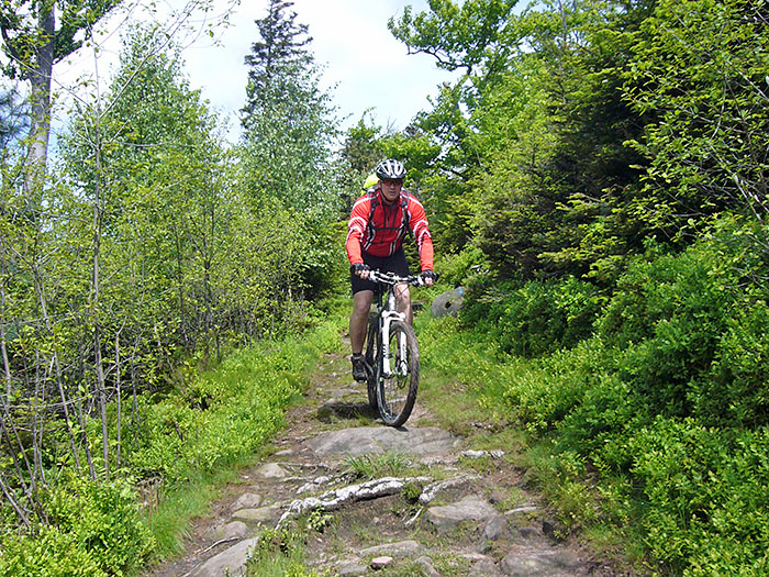 Hoppelweg, aber so haben wir es gewollt
