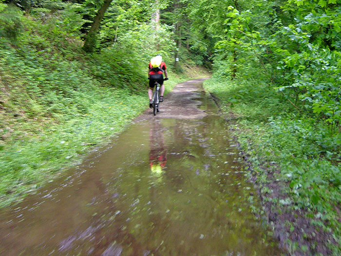 Auf dem Graf-Rhena-Weg ...