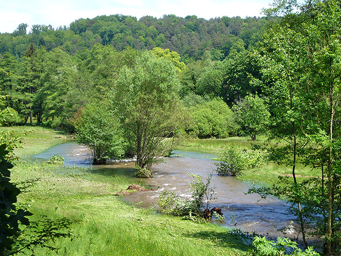 Nochmal die Alb auf Abwegen ...