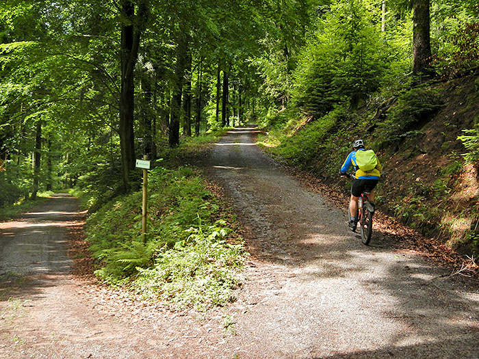 Anfangs geht es noch moderat hinauf ...