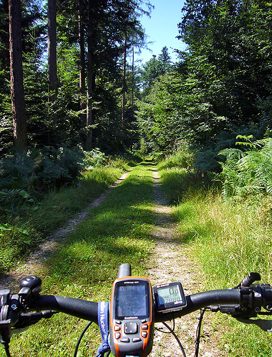 Waldweg bei Burbach