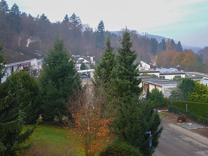 Die Aussichten sind nicht rosig, aber akzeptabel