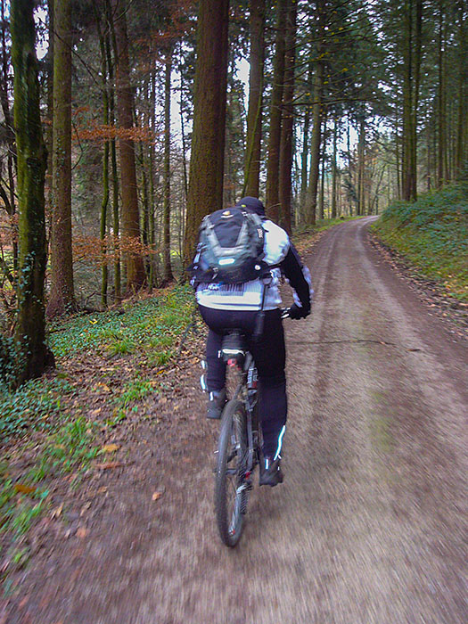 Durch den Wald fahren wir ...