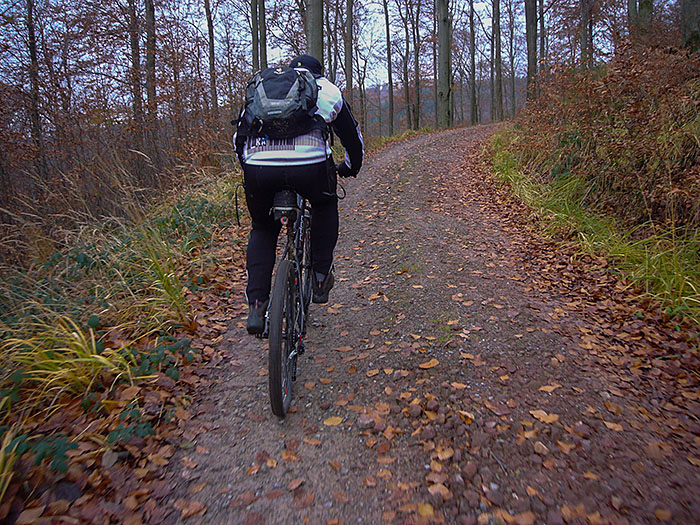 ... nach Moosbronn hinauf