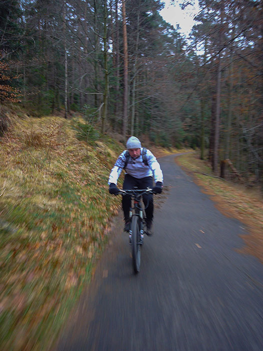 Auf dem Albtalradweg ...