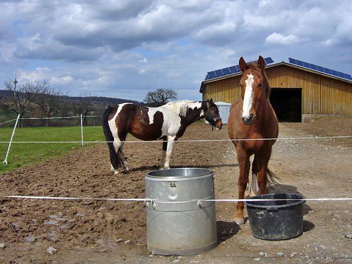 ... da glotzen sogar die Zossen ;-)