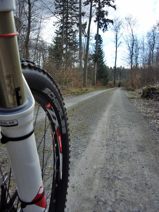 Auf der Forstautobahn ...