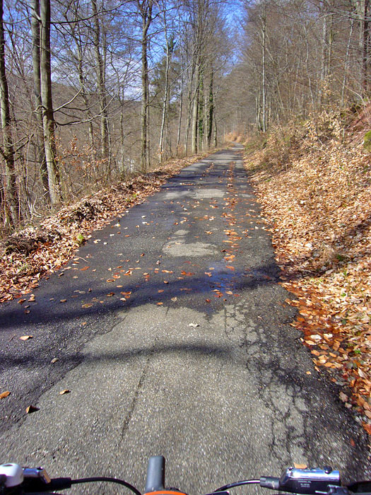 Endspurt nach Busenbach