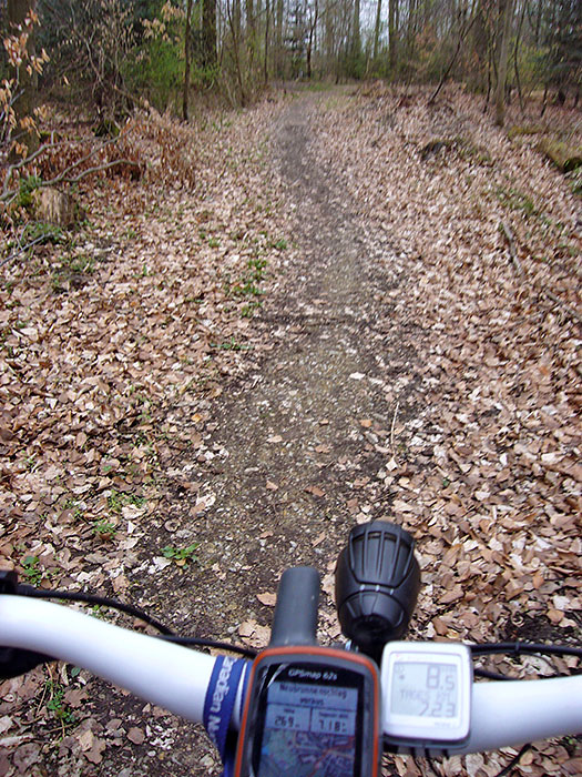 Auf einem Pfad bergauf ...