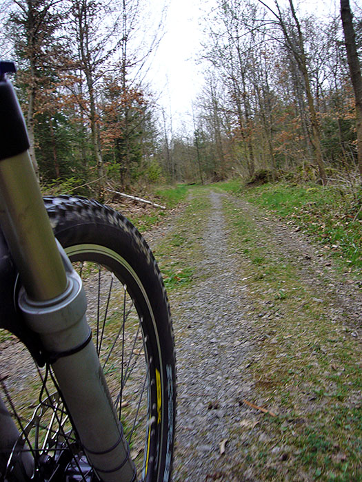 ... und auf der Waldautobahn geradeaus