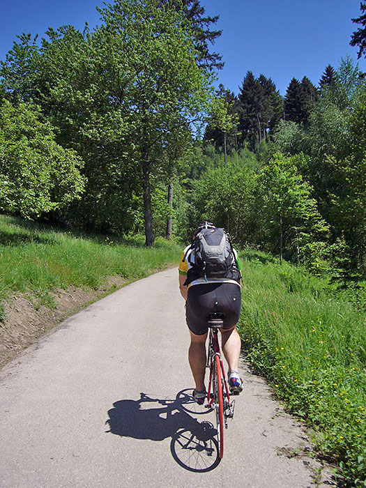 Hier geht es das Leutersbachtal hinauf