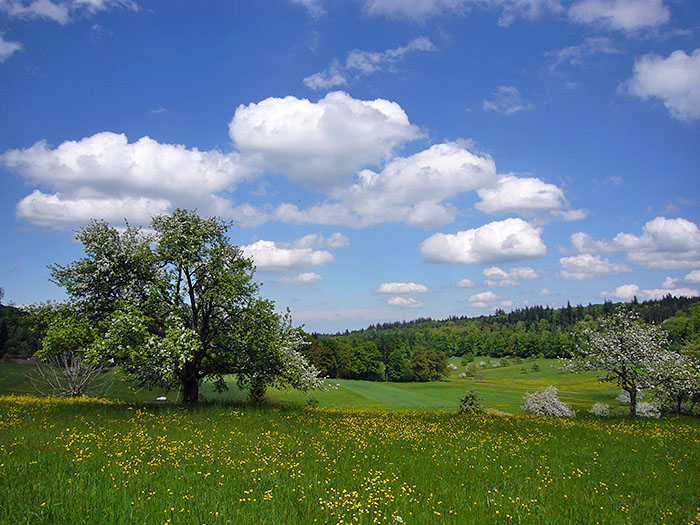 Tolles Wetter, aber die Runde ist gleich fertig - wir auch ;-)