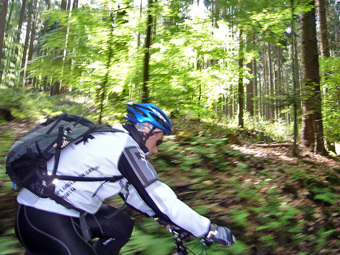 Durch den Wald Richtung Dobel