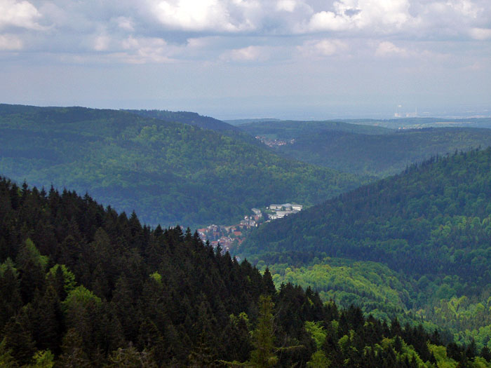 ... steigen doch immer weiter hinauf