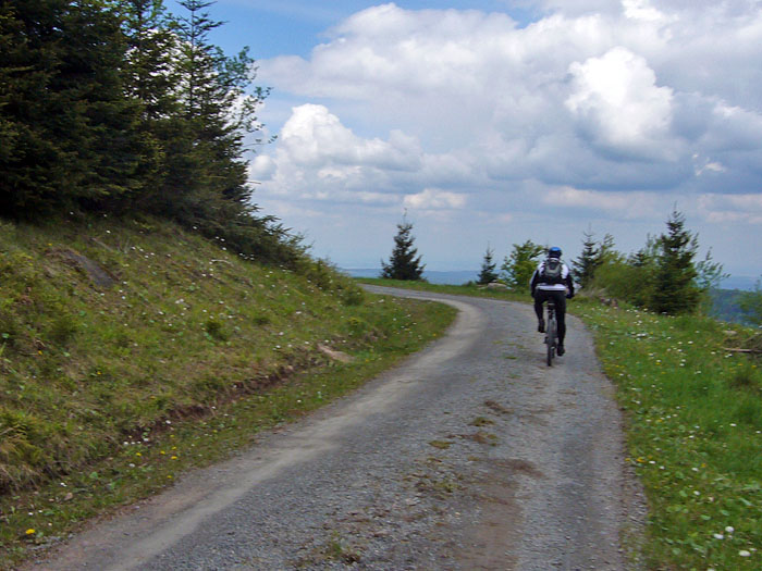 ... auf einem Weg mit sch&ouml;ner Aussicht