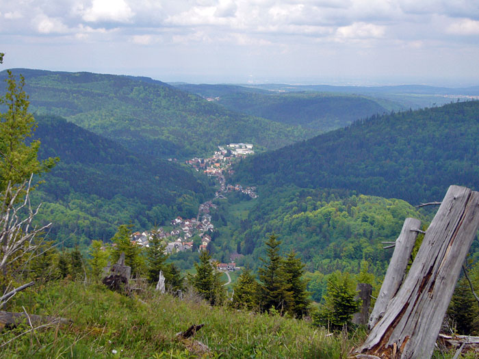 Blick auf Bad Herrenalb