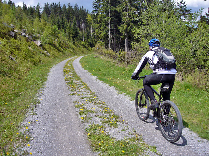 Ab jetzt geht es haupts&auml;chlich bergab ;-)