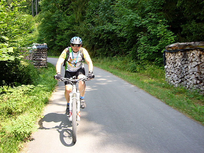 Zwischen Holzstapeln ...