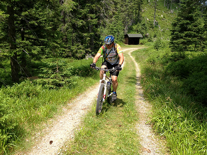 ... zahlreiche Bremsen treiben uns weiter