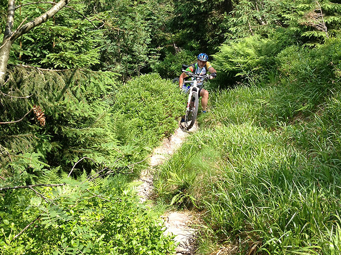 Tragen d&uuml;rfen wir auch hin und wieder ...