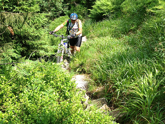 Schon bl&ouml;d, wenn man den falschen Weg erwischt