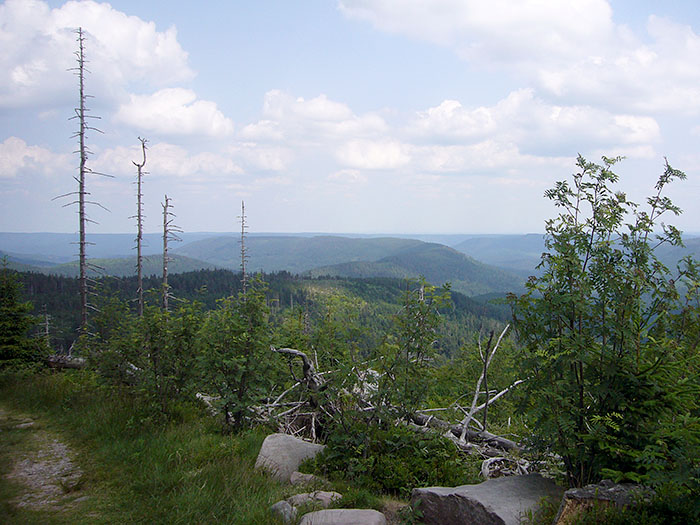 ... genie&szlig;en wir die Aussicht