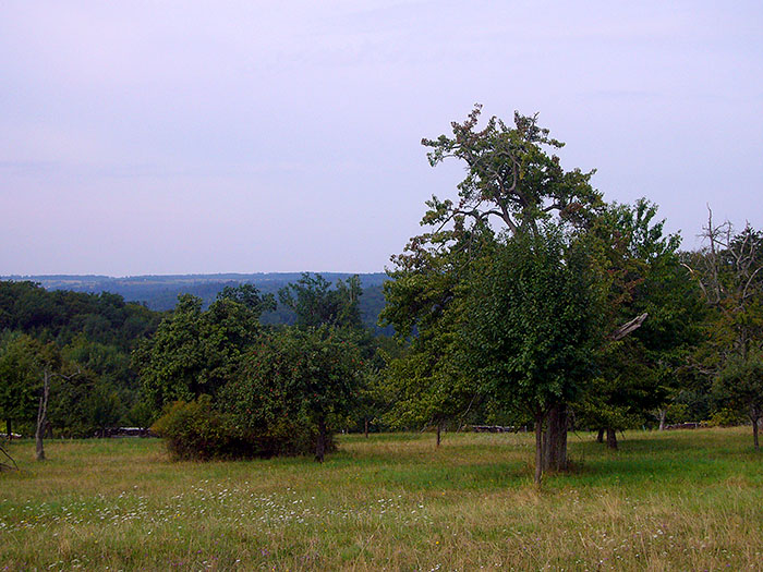 Im Hintergrund die Erhebungen des Dobel