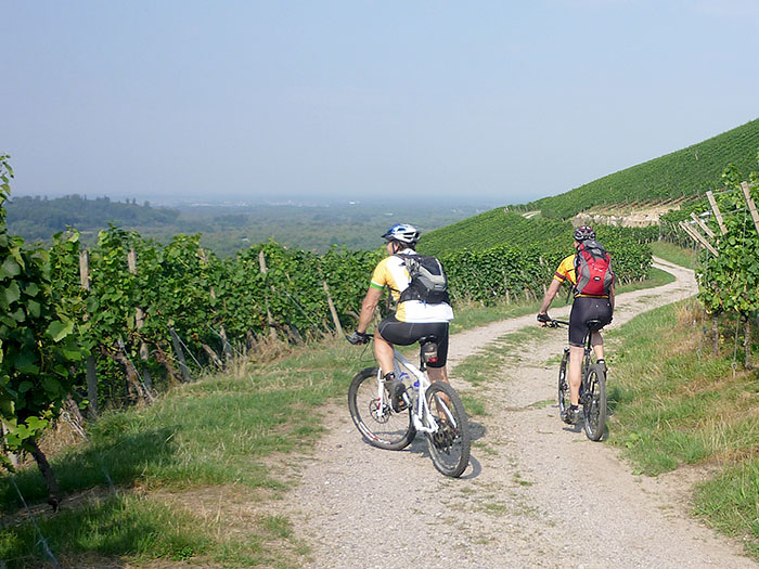 Viel Zeit zum Schauen bleibt aber nicht, wir wollen ja weiter kommen