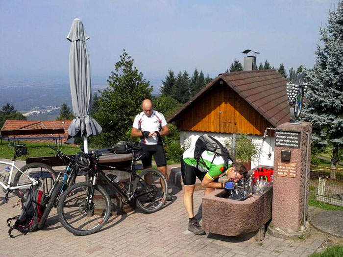 ... mal den R&uuml;ssel in die Getr&auml;nke zu halten ;-)