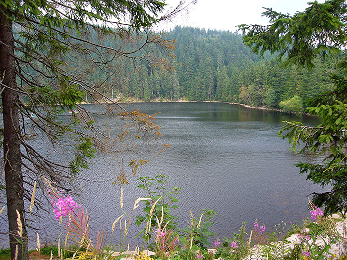 Am Fu&szlig; der Hornisgrinde liegt der Mummelsee