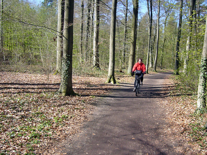Durch den Wald nach Adendorf