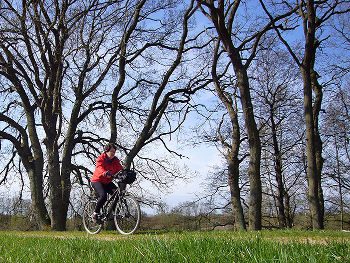 Der unebene Boden sch&uuml;ttelt uns etwas durch