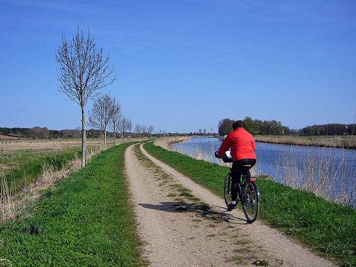 Bis diese B&auml;ume Schatten geben, dauert es noch eine Weile ;-)