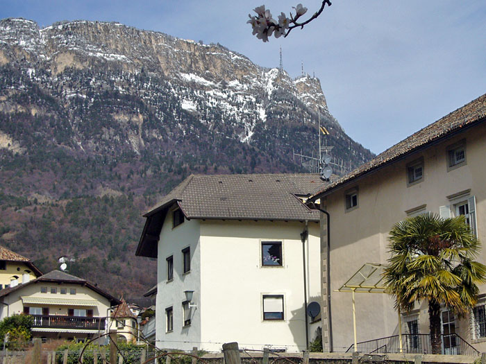 Palme und wei&szlig;e Berge
