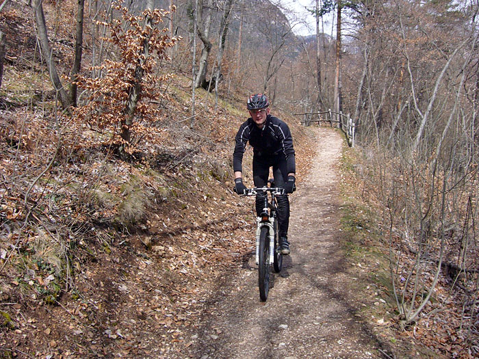 Sch&ouml;ner Weg nach Altenburg