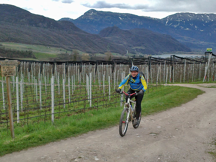 Anstieg nach Kaltern ...